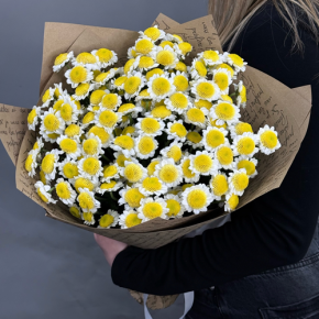 Букет "Моё солнышко" из 11 хризантем сантини  в Королеве