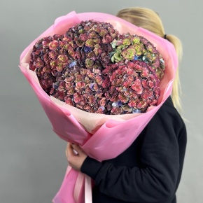 Букет из 5 космических Голландских гортензий в Королеве