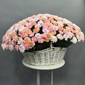 Композиция в корзине из 251 диантуса микс в Королеве