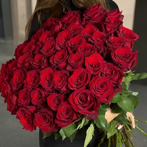 Букет 51 роза Эквадор Эксплорер (60 см) в Королеве