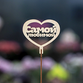 Топпер Самой Любимой в Королеве