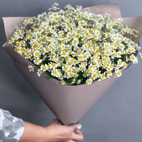 Букет из 17 ромашек танацетум в Королеве
