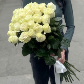 Монобукет из 25 роз Эквадор Мондиаль (80 см) в Королеве