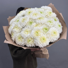 Букет из 27 хризантем Магнум в Королеве