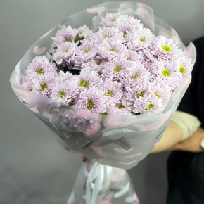 Букет "Нежный комплимент" из 9 кустовых хризантем в Королеве