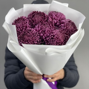 Букет "Винная легенда" из 7 хризантем Бигоуди в Королеве