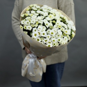Букет "Милая моя" из 17 хризантем сантини в Королеве