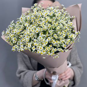 Букет из 17 полевых ромашек в Королеве