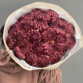 Букет 21 шоколадной хризантемы Бигоуди в Королеве