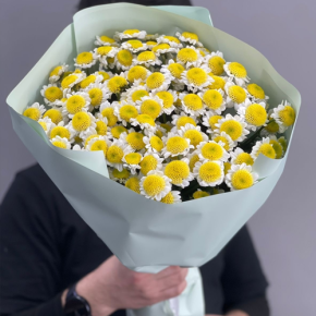 Букет "Моё солнышко" из 17 хризантем сантини  в Королеве