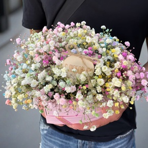 Композиция в коробке сердца из радужных гипсофил с топпером в Королеве