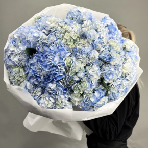 Букет из 23 синих гортензий в Королеве
