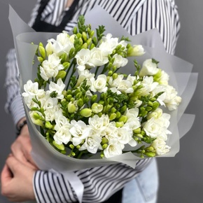 Букет из 39 фрезий в Королеве