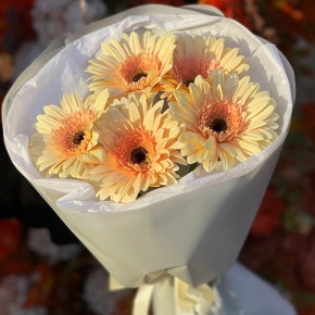 Букет из 5 персиковых гербер в Королеве