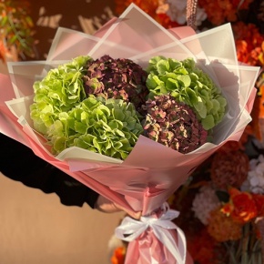 Букет из Голландских гортензий микс в Королеве