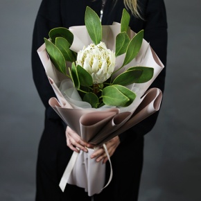 Букет "Великолепная" из экзотичной протеи в Королеве