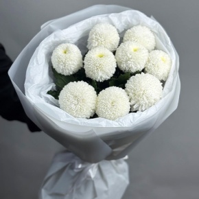 Букет из 9 белых хризантем Момоко в Королеве