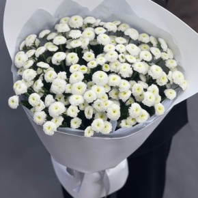 Букет "Белая дымка" из 25 хризантем сантини в Королеве