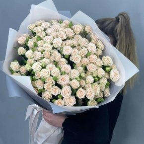 Букет из 25 кремовых кустовых роз (70 см) в Королеве