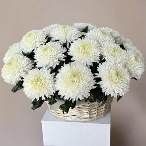 Композиция в корзине из 25 хризантем Магнум в Королеве