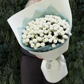 Букет из 25 хризантем Ньютон в Королеве