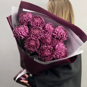 Букет "Изобилие" из 11 винных хризантем Бигоуди в Королеве