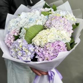 Букет из 9 Голландских гортензий микс в Королеве