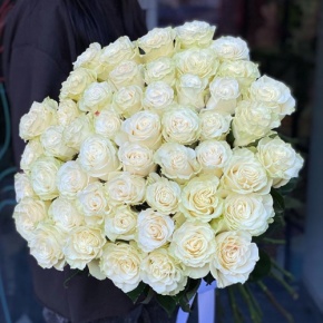 Букет из 51 розы Эквадор Мондиаль под ленту (80 см) в Королеве