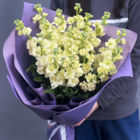 Букет из 15 лимонных маттиол в Королеве