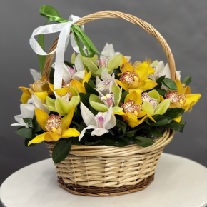 Композиция в корзине из 25 орхидей микс в Королеве