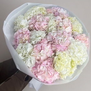 Букет из 17 нежных гортензий в Королеве