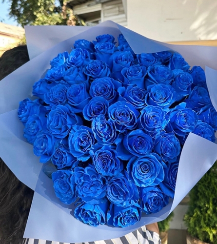 Букет из 51 синей розы Эквадор (60 см) в Королеве