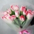 Букет "Фламинго" из 11 пионовидных тюльпанов в Королеве