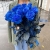 15 синих LUX роз Эквадор (70 см) в Королеве
