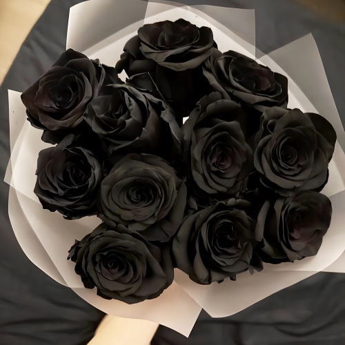 Букет "Черная королева" из 11 черных роз Эквадор (60 см) в Королеве