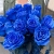 15 синих LUX роз Эквадор (70 см) в Королеве