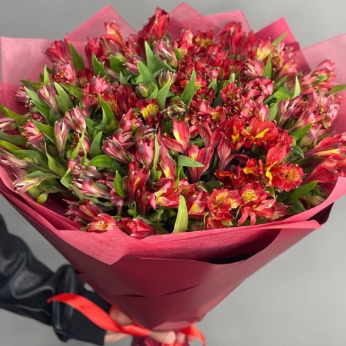 Монобукет из 25 красных альстромерий в Королеве