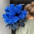 15 синих LUX роз Эквадор (70 см) в Королеве
