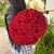 Букет 51 красной розы 50 см в Королеве Букет 51 красной розы 50 см в Королеве