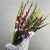Букет из 25 гладиолусов микс в Королеве