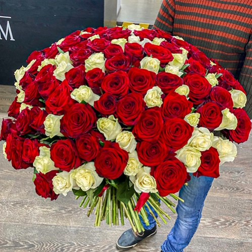 Букет 151 роза красный и белый микс (60 см) в Королеве