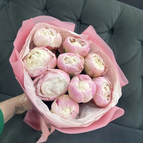 Букет из 9 нежных пионов Гардения в Королеве