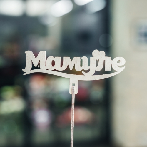 Топпер Мамуле в Королеве