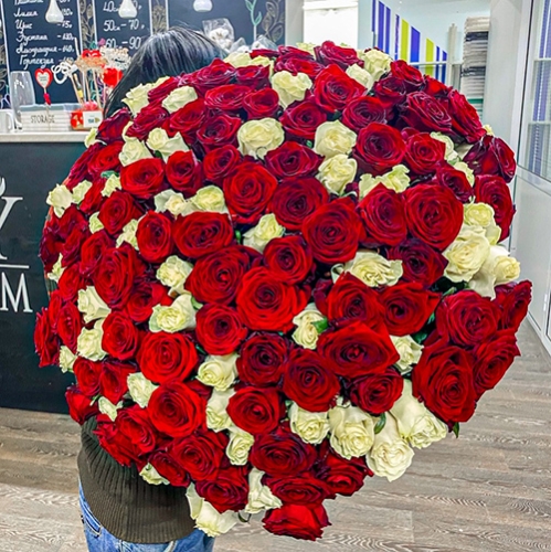 Букет 151 роза красный и белый микс (60 см) в Королеве