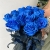 15 синих LUX роз Эквадор (70 см) в Королеве