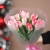 Букет "Фламинго" из 11 пионовидных тюльпанов в Королеве