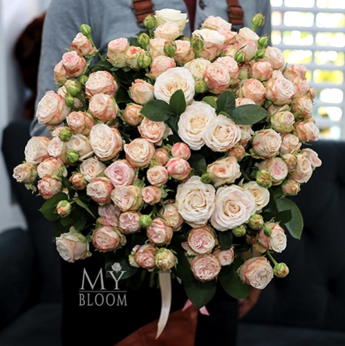 Букет 51 пионовидная роза Бомбастик (60 см) в Королеве