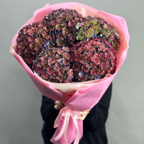 Букет из 5 космических Голландских гортензий в Королеве