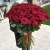 Букет из 101 красной розы (90 см) в Королеве