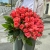 Букет 51 роза коралл (60 см) в Королеве Букет 51 роза коралл (60 см) в Королеве